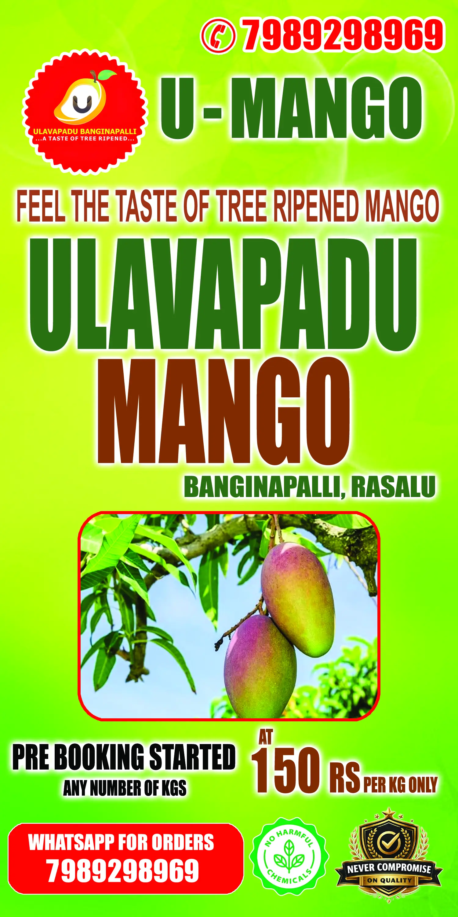 Ulavapadu Mango - Tree Ripened